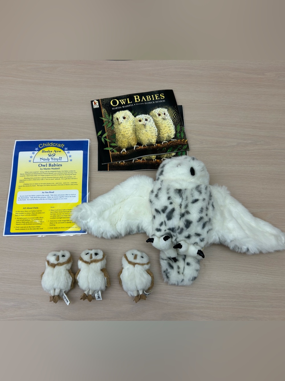 Owl & babies puppet set, read aloud book, & activity guide